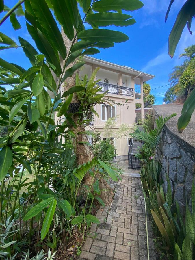 South Hill Villa Anse Royale Exterior foto